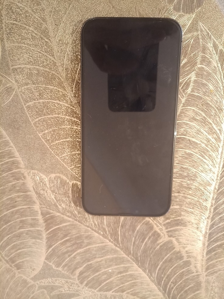 Apple iPhone 13 Pro Max 256 GB